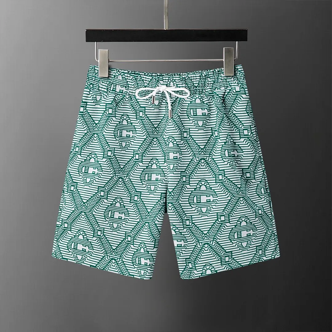 29112# New Arrival casual shorts from the official website for spring and summer 2026. The knitted jacquard fabric is handsome, the fabric is comfortable, the workmanship is rigorous, and the stitching is neat. Good upper body effect·Sizes M-3XL Green